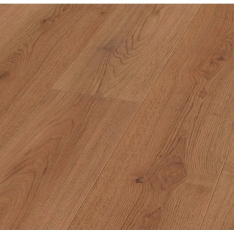 ROBLE TREND